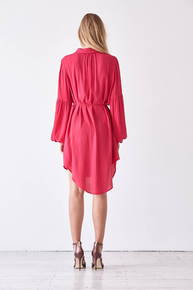 Rene Shirt Dress