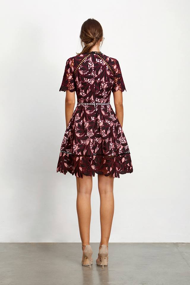 Ladies Lace Aline Dress - Elliatt - Montague Dress